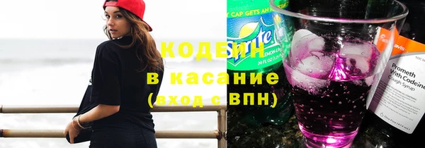 индика Усинск