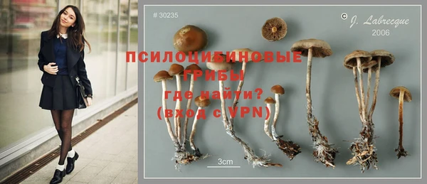 индика Усинск