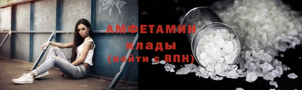 индика Усинск