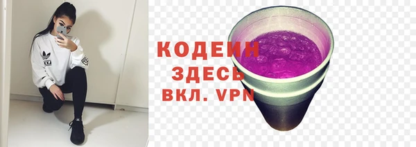 индика Усинск