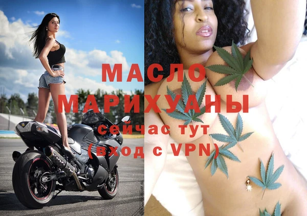 индика Усинск