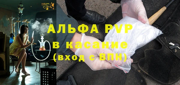 индика Усинск
