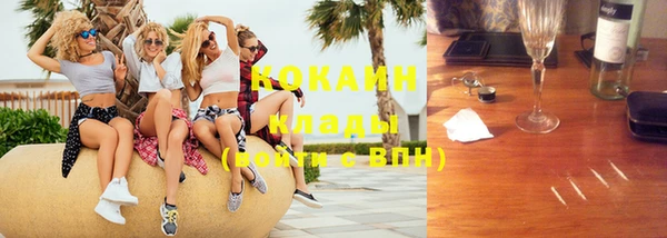 индика Усинск