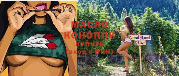 индика Усинск