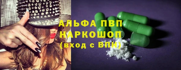 индика Усинск