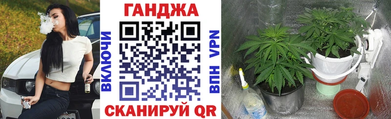 Купить закладки  Покачи  МАРИХУАНА SATIVA & INDICA 